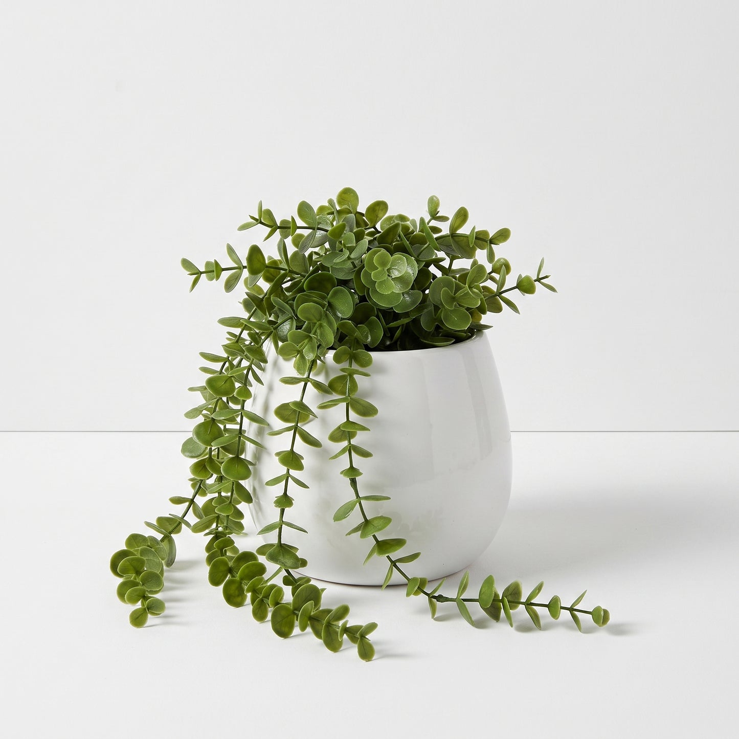 Small Trailing Potted Plant