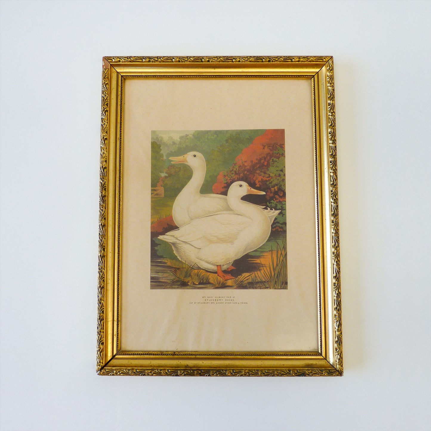 Gold Decorative Picture Frame