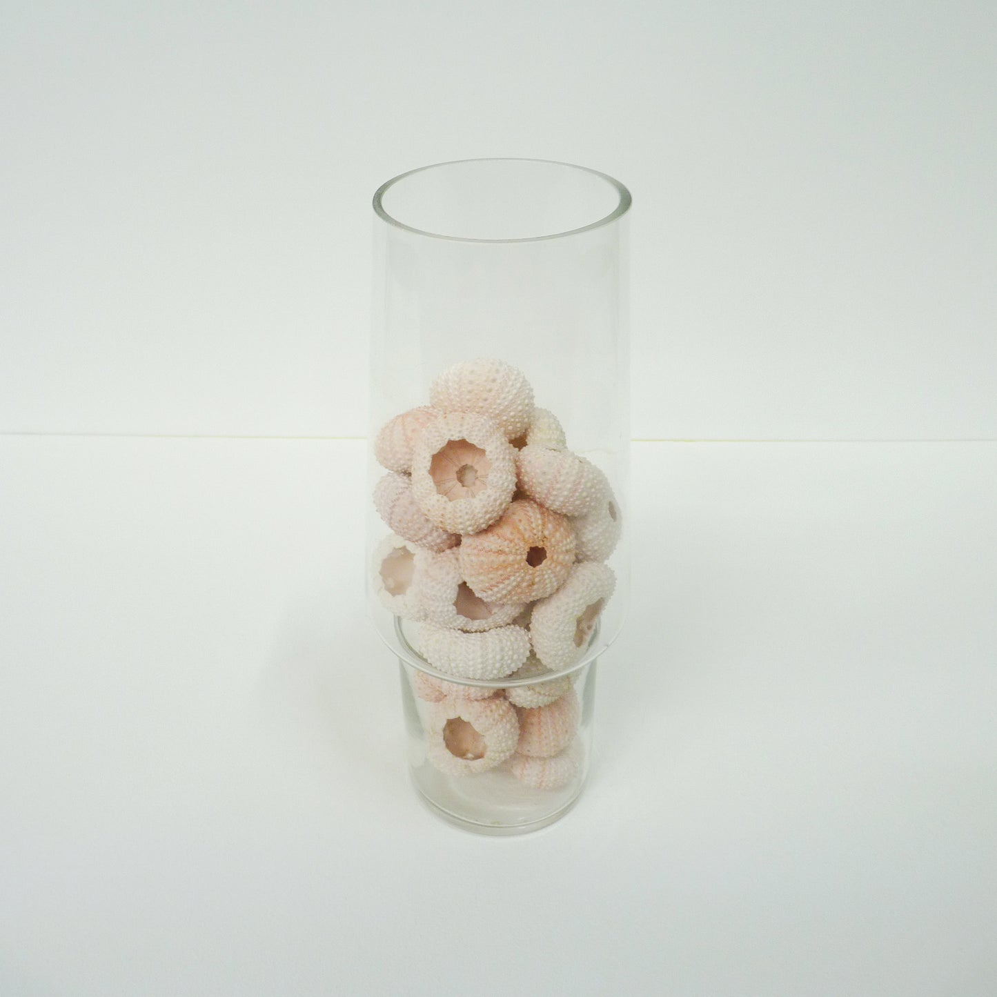 Vase With Decorative Shells