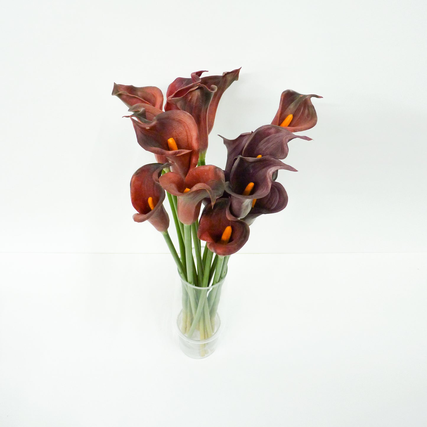 Purple Calla Lily