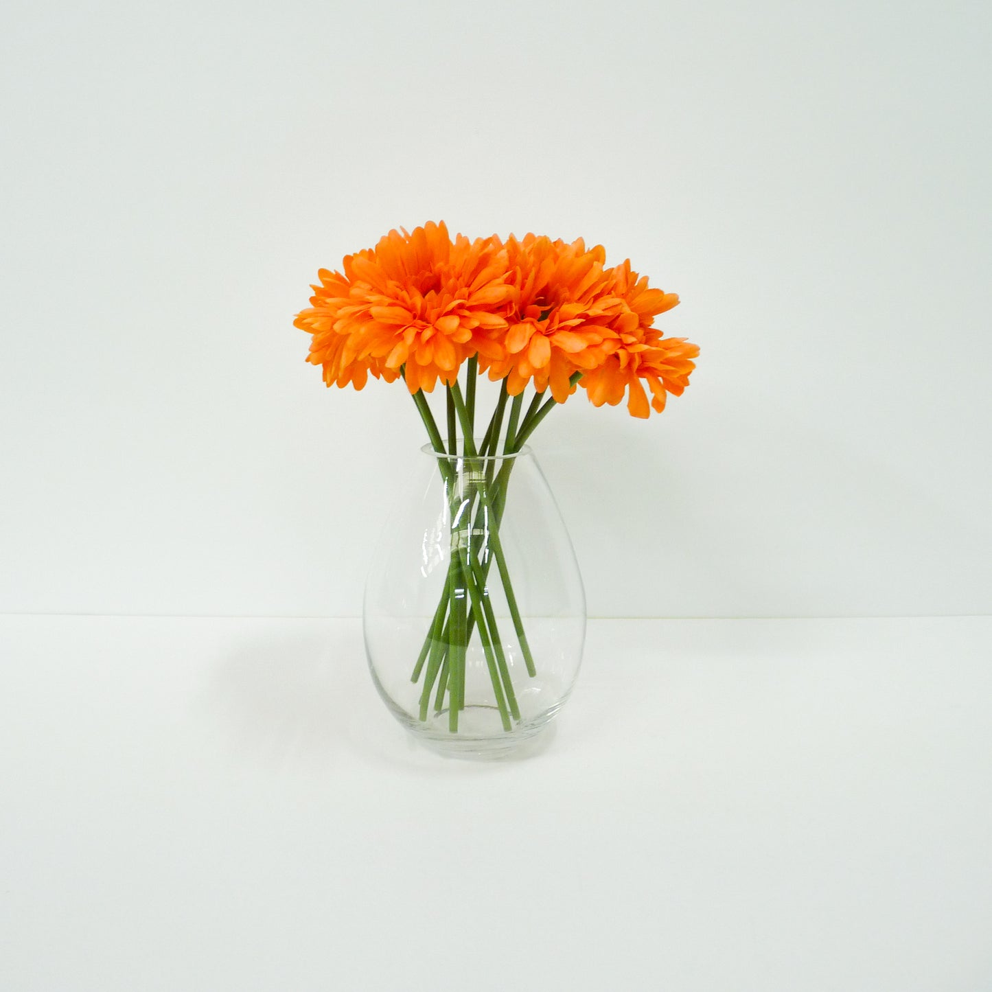Orange Daisy