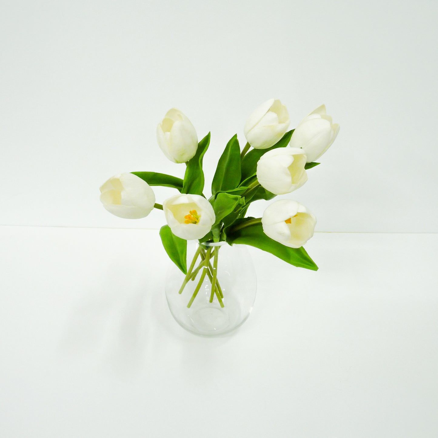 White Tulip