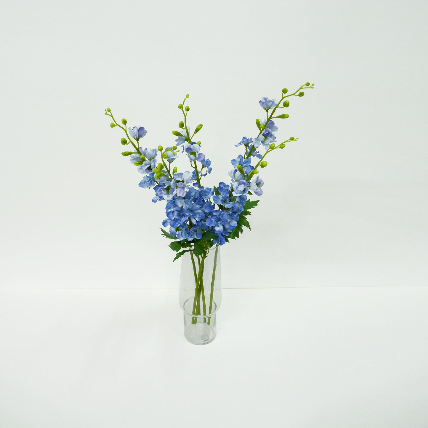 Blue Delphinium