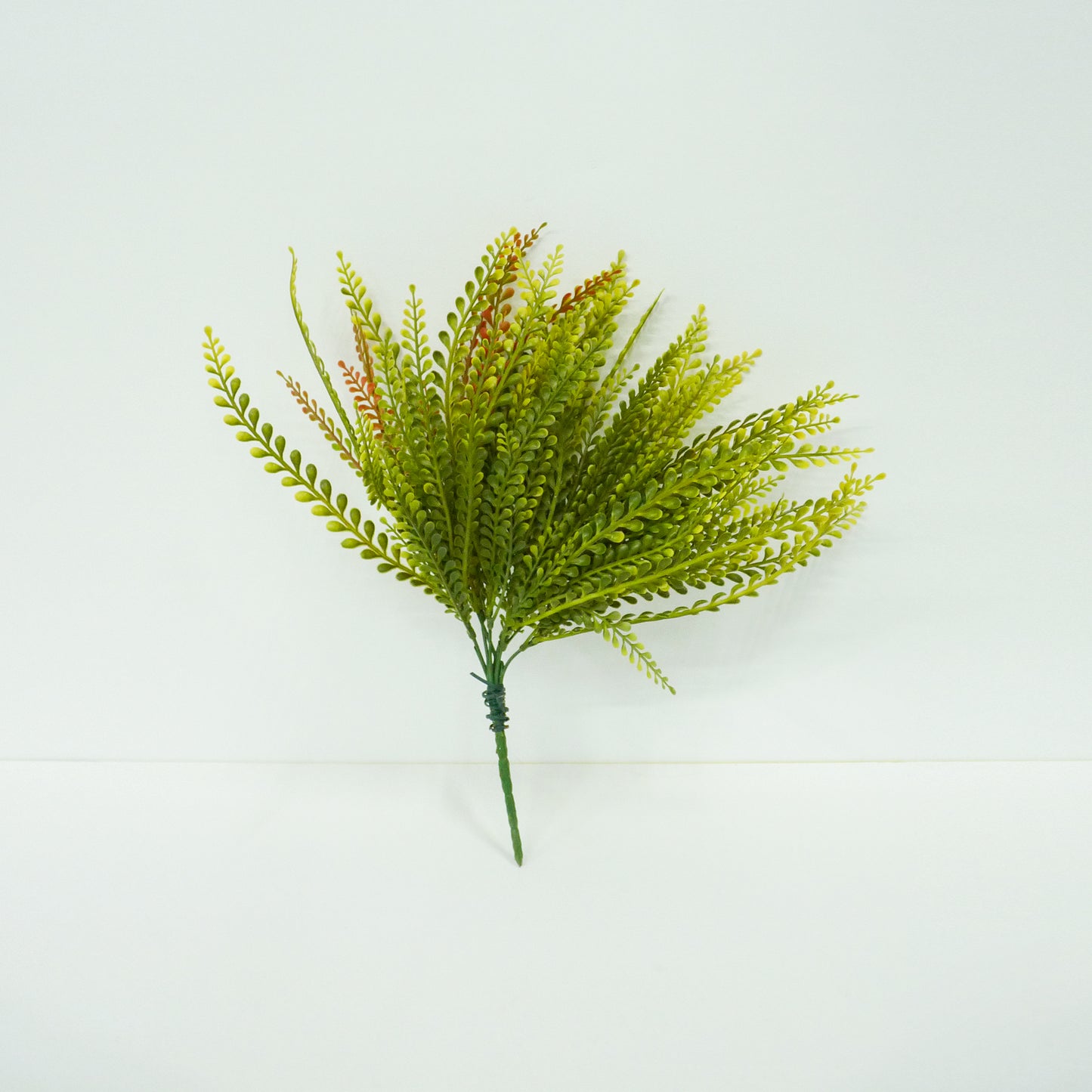 Artificial Water Fern