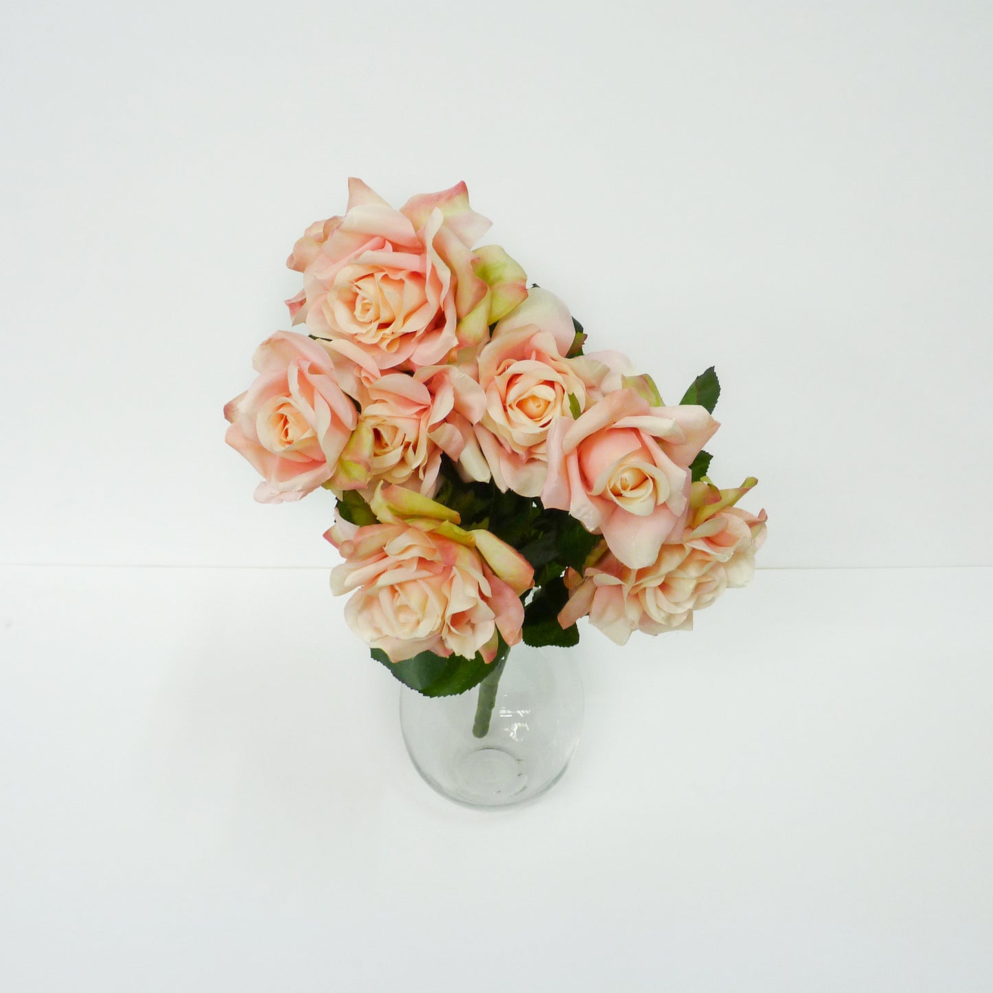 Soft Pink Roses