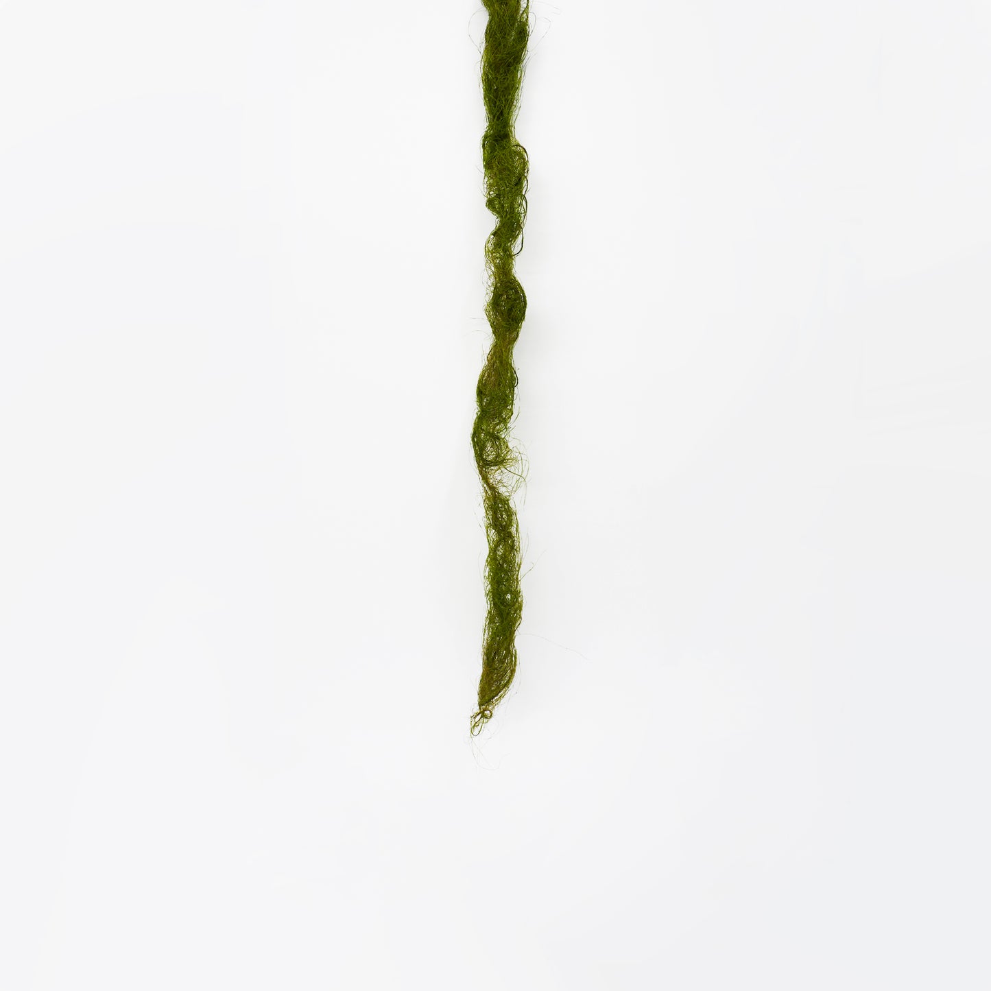 Moss Vine