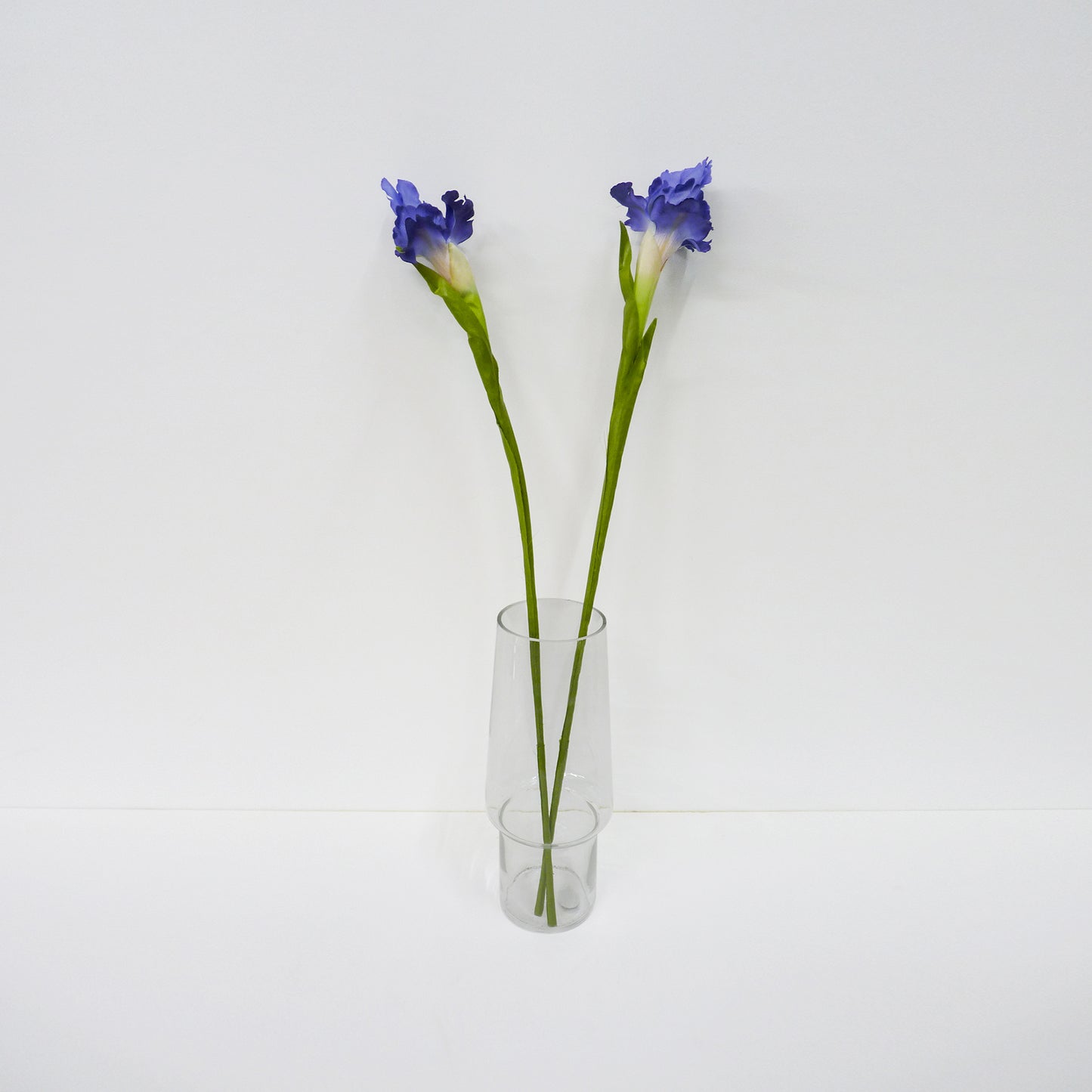 Iris Stems