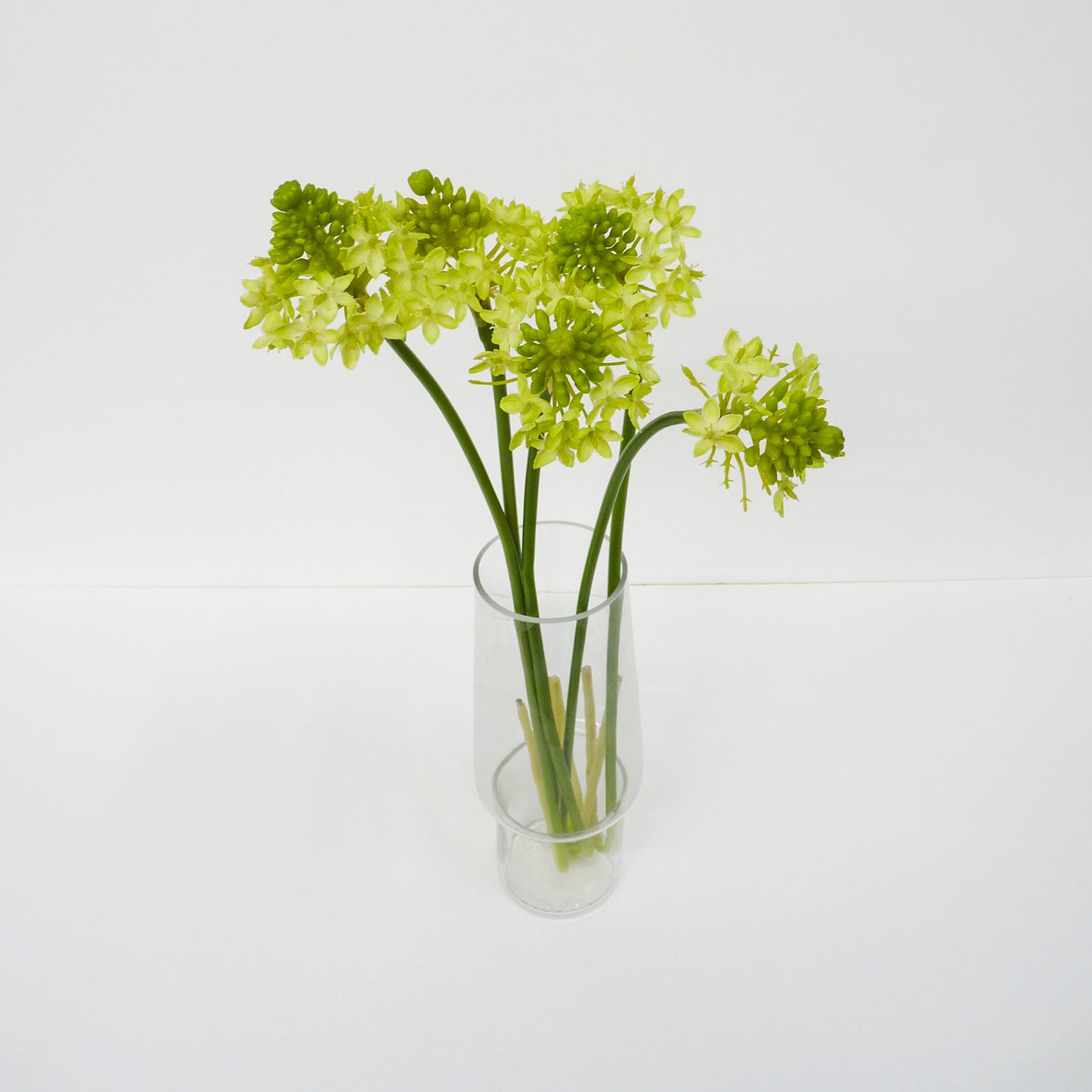 Yellow Star of Bethlehem Flower