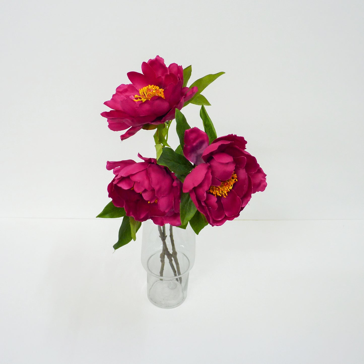 Deep Pink Garden Peony