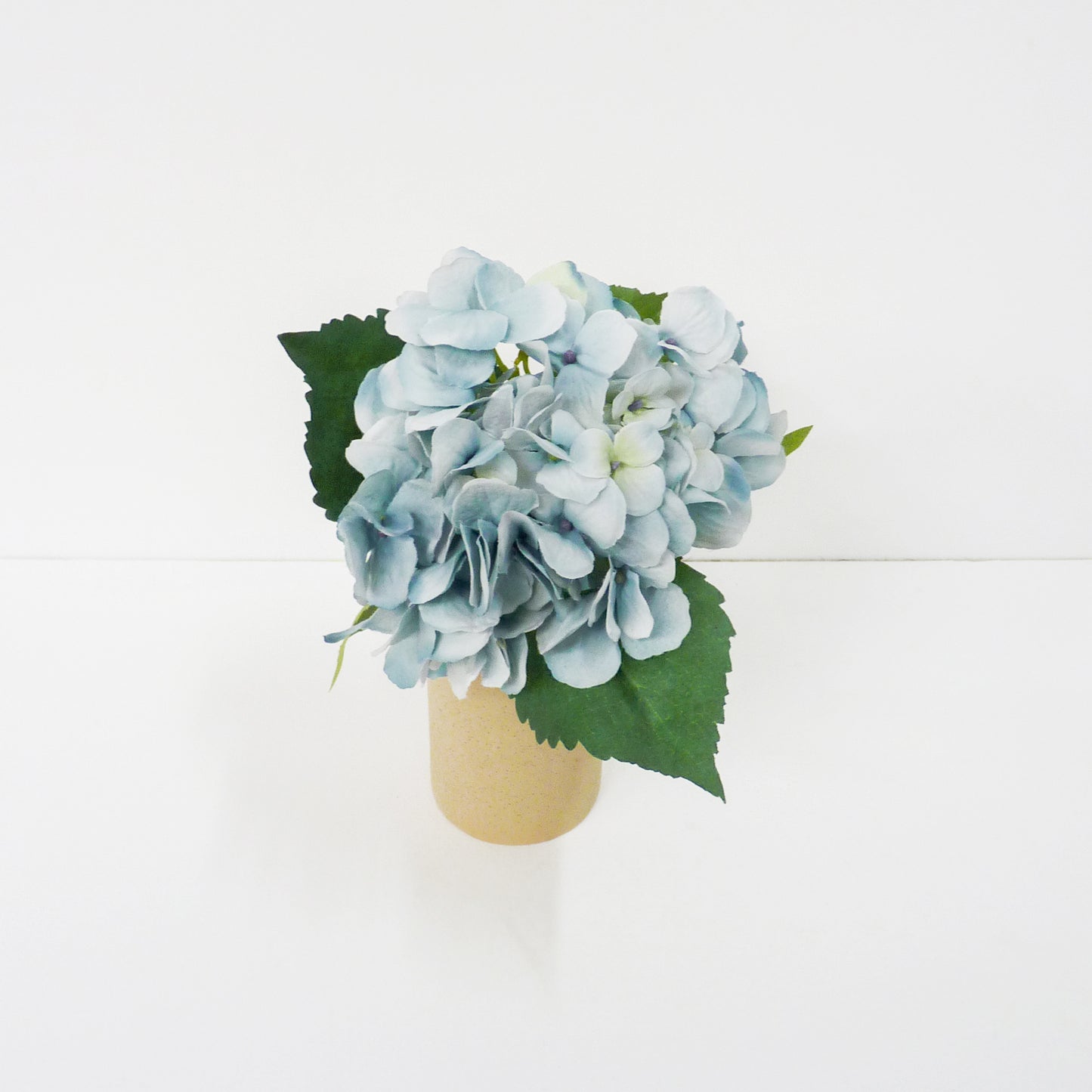 Blue Hydrangea Flowers Stems