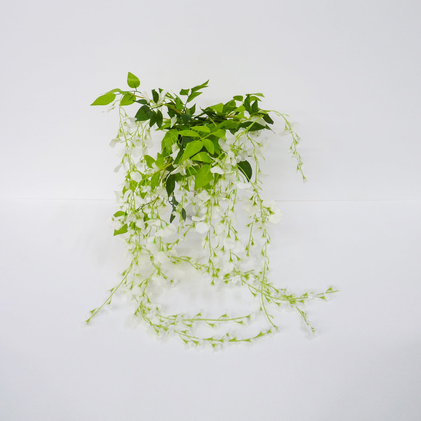 Weeping White Flower