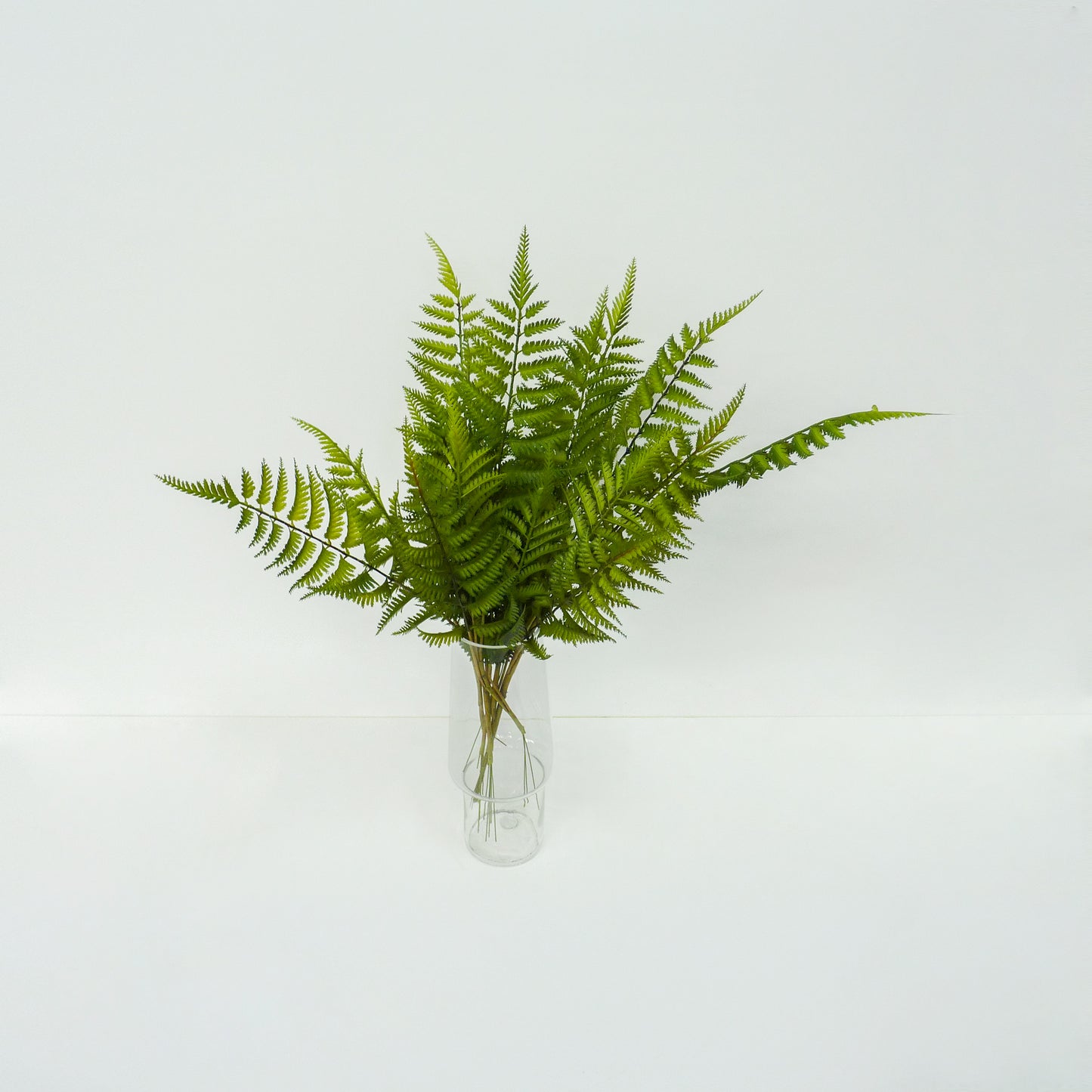 Fern Leaf