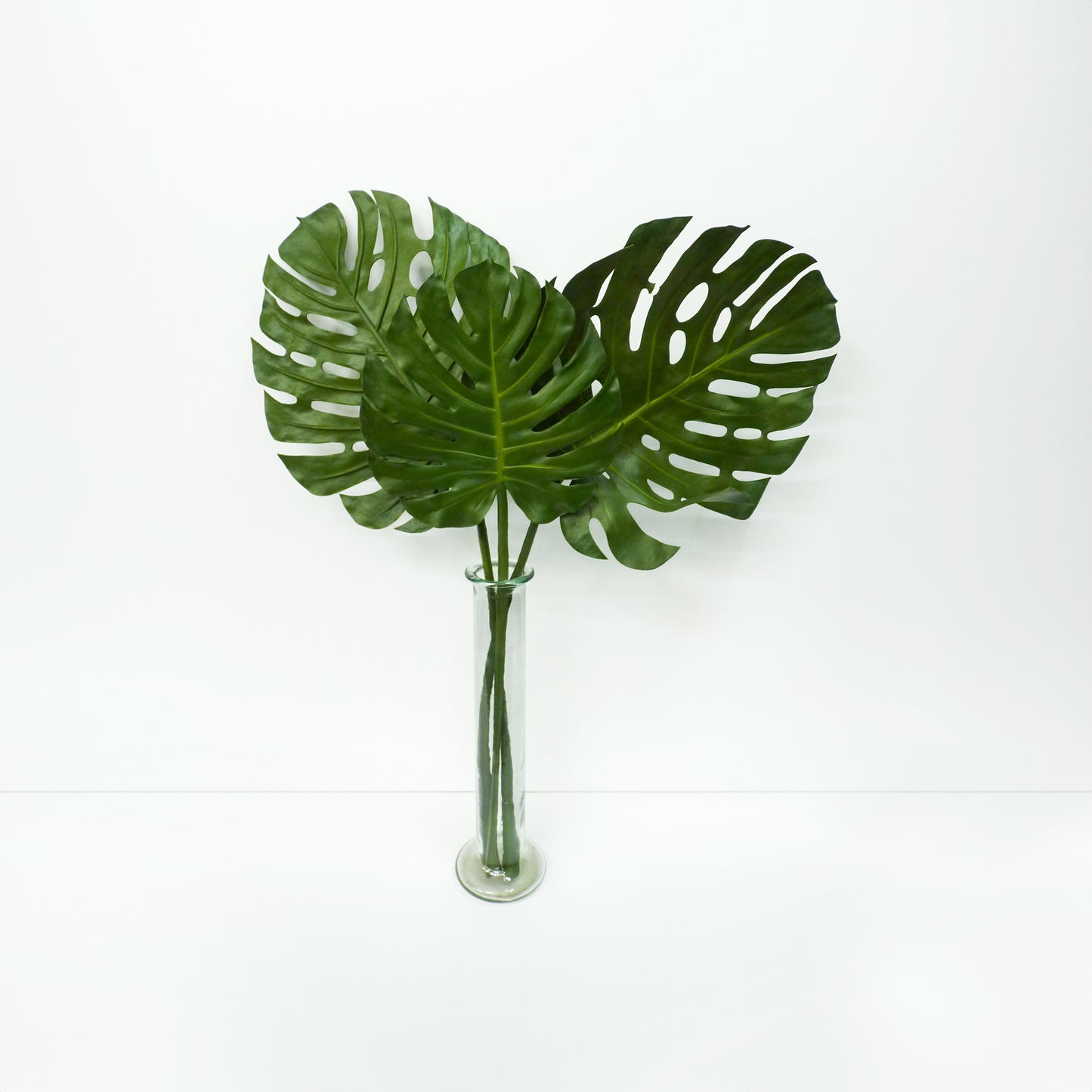 Large Monstera Leaves