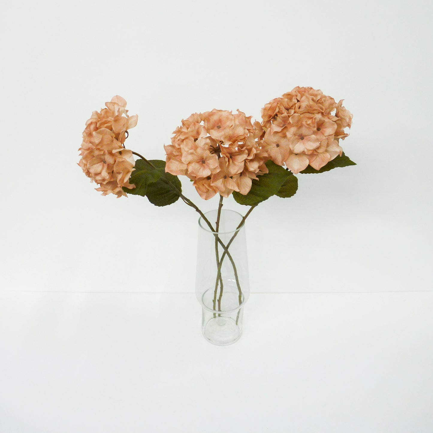 Blush Pink Hydrangea