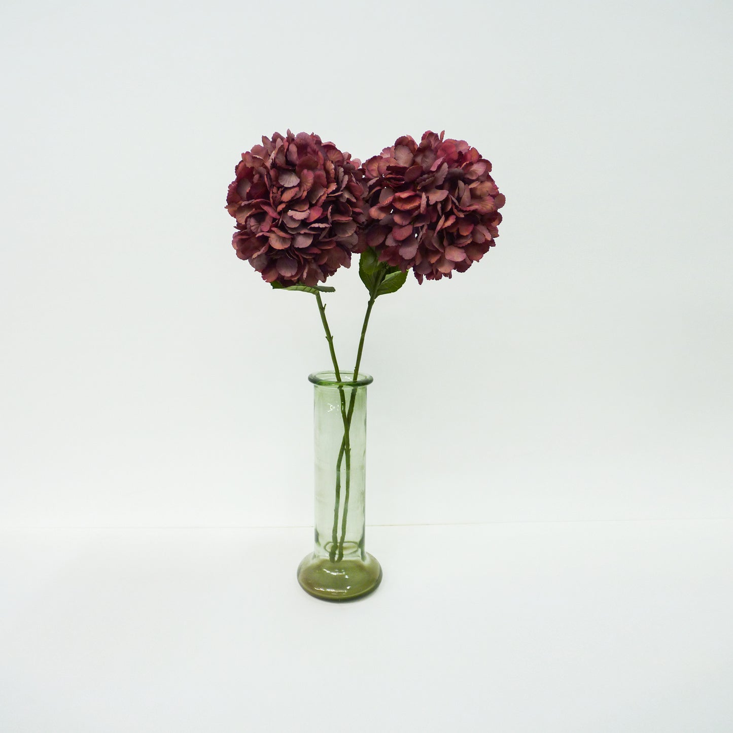 Maroon Hydrangea