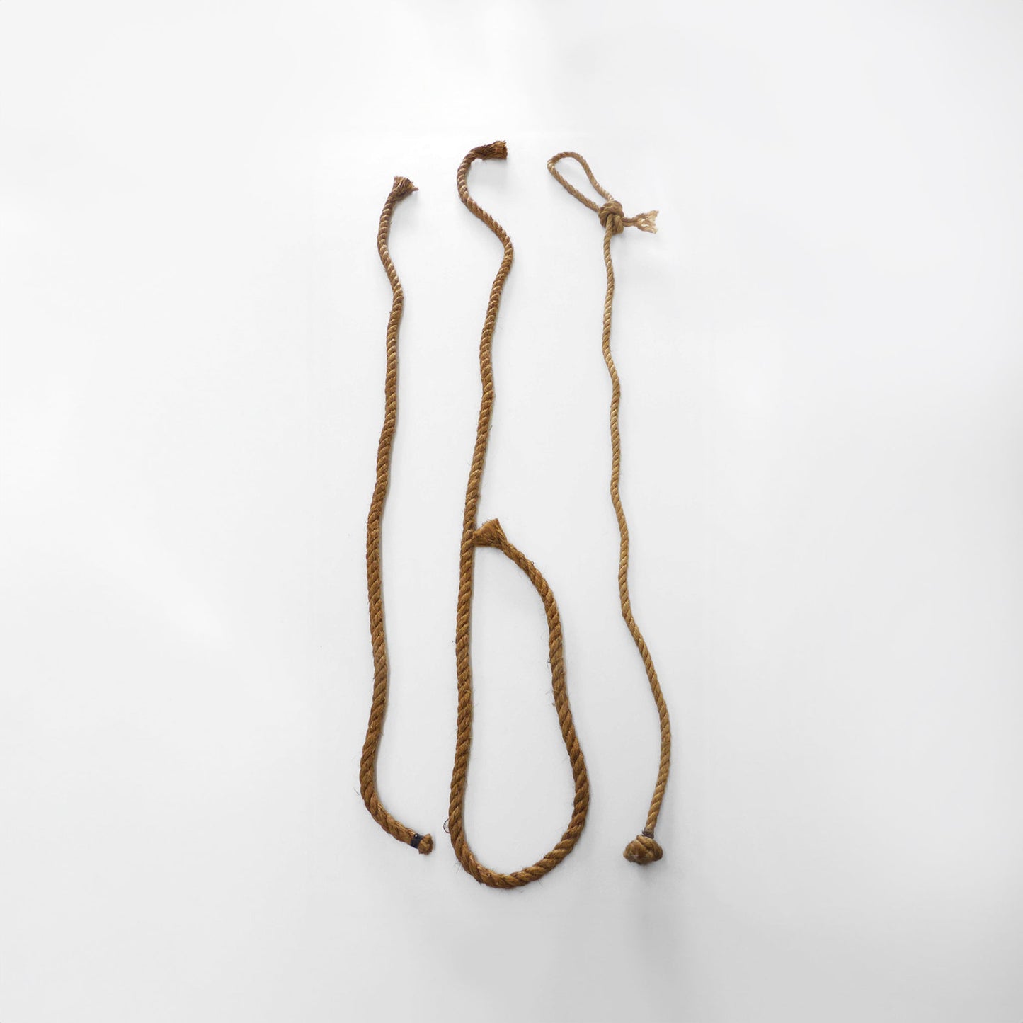 Assorted Lengths of Heavy Duty Rope