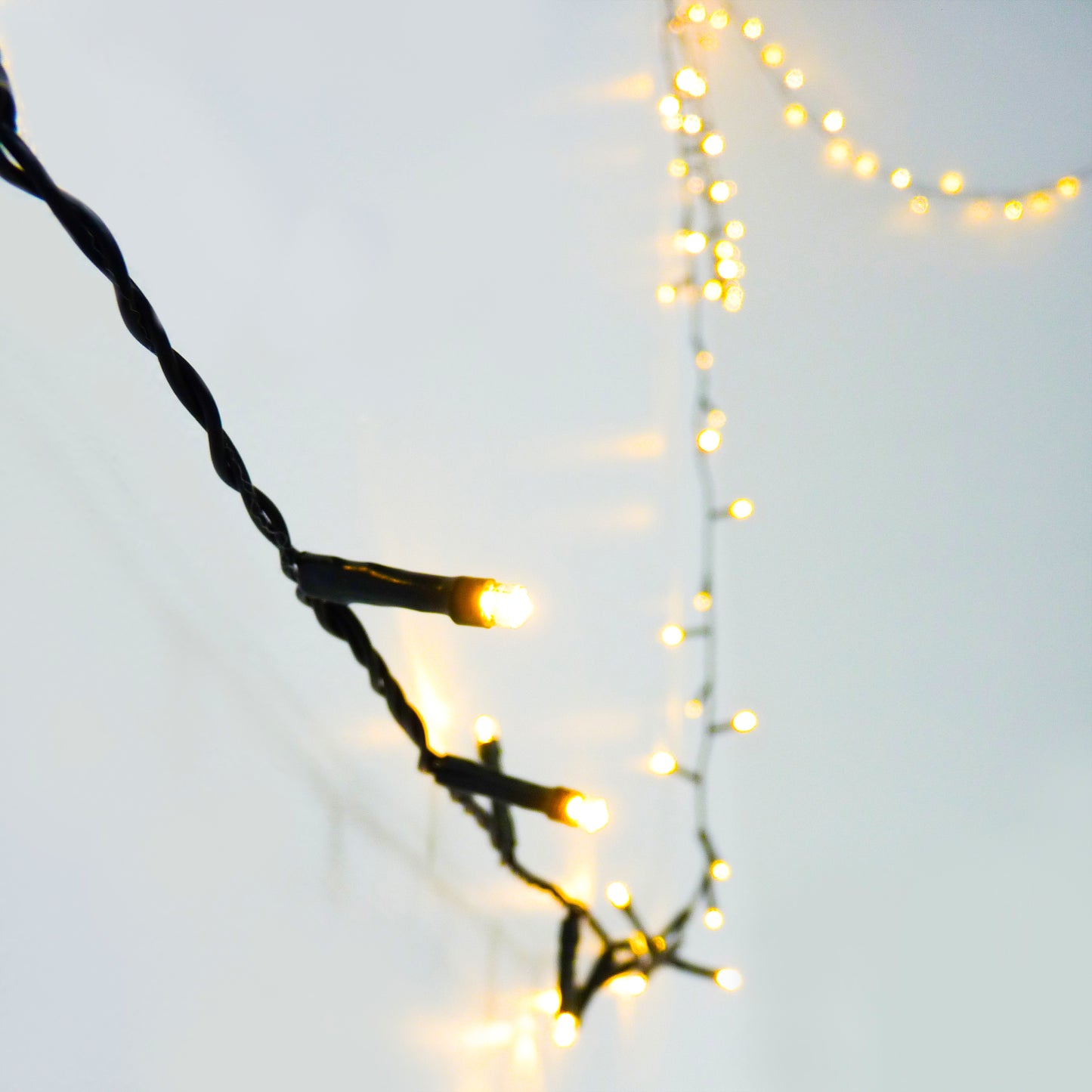Fairy Lights