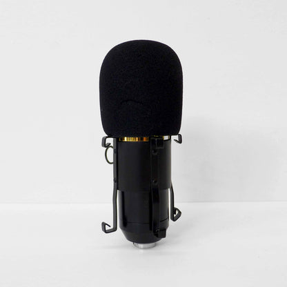 Condenser Microphone