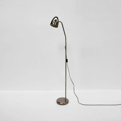 Goose Neck Standing Lamp