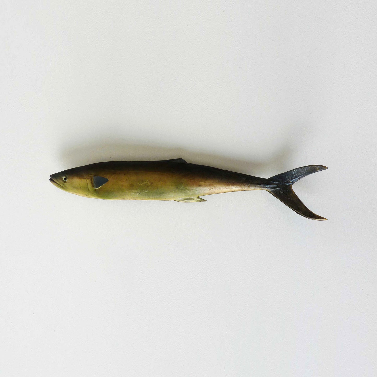 Artificial Fish