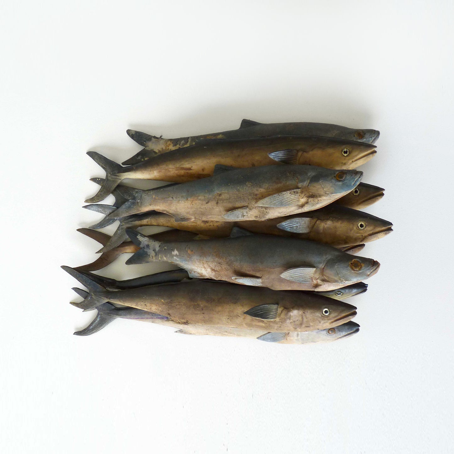 Artificial Fish