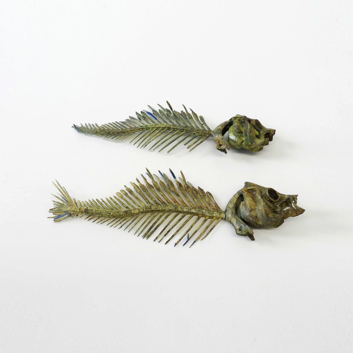 Fish Skeleton Set