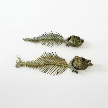Fish Skeleton Set