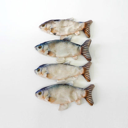 Fabric Fish Set