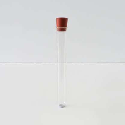 Vintage Test Tube Set