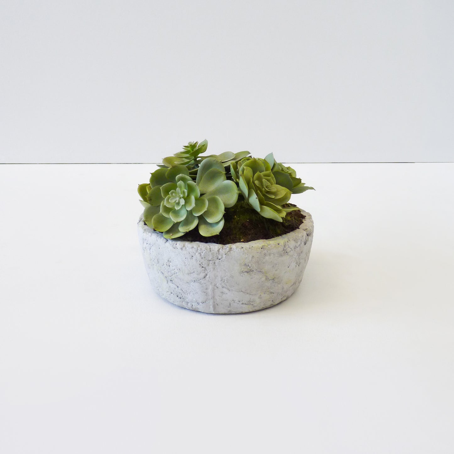 Artificial Succulent Plant Set