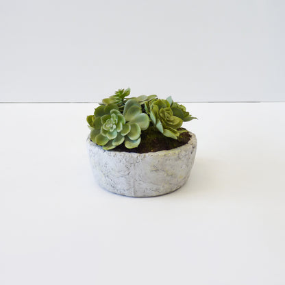 Artificial Succulent Plant Set
