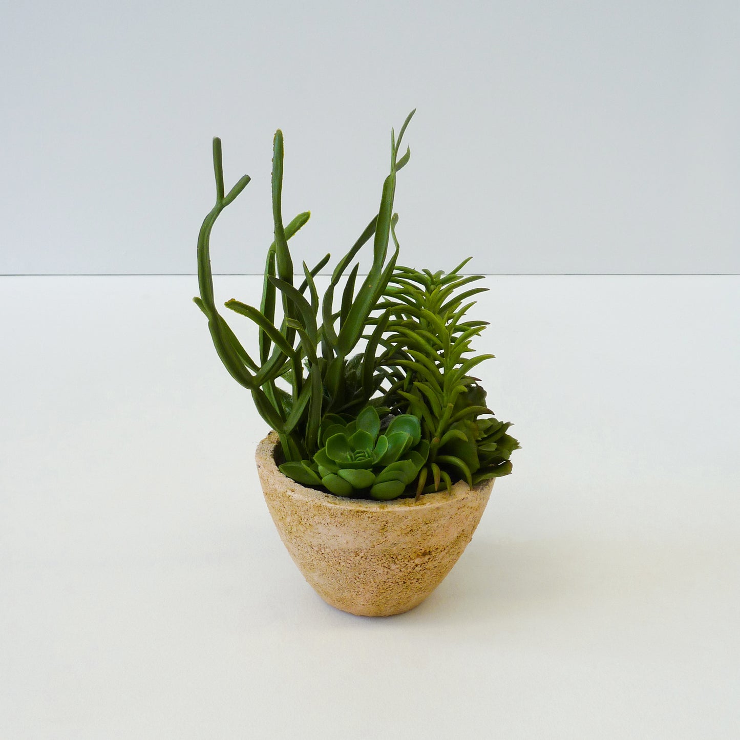 Artificial Succulent Plant Set