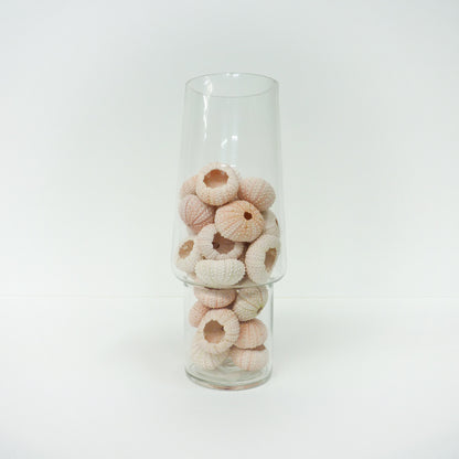 Vase With Decorative Shells