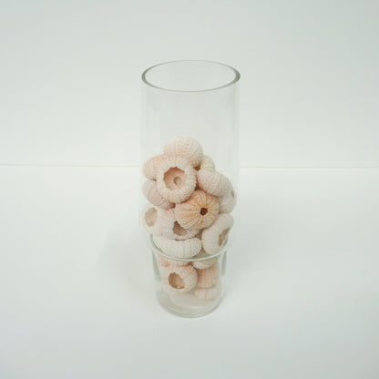 Vase With Decorative Shells