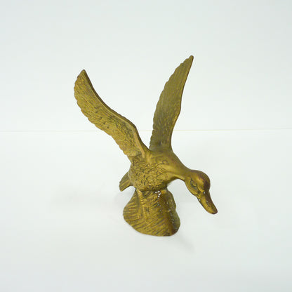 Brass Duck