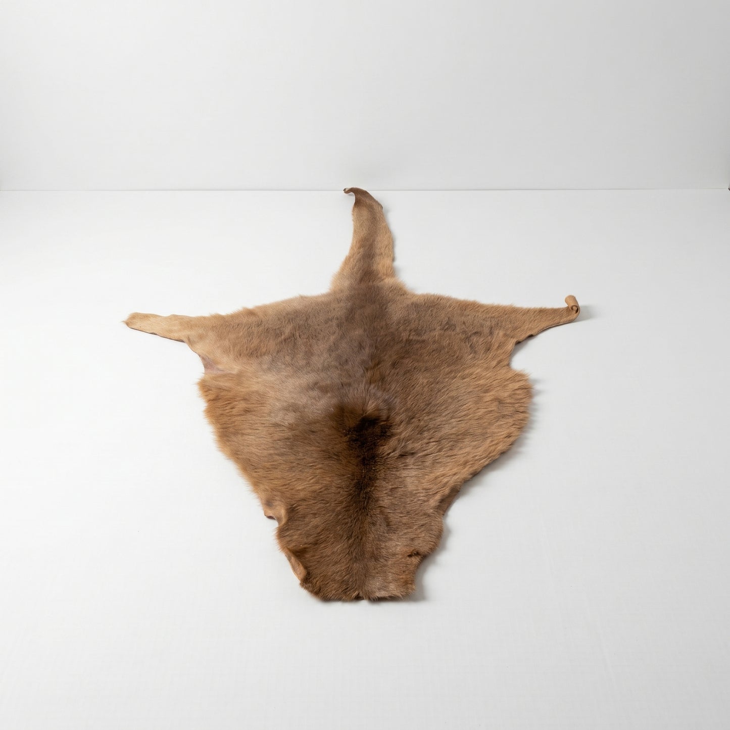 Kangaroo Hide Rug