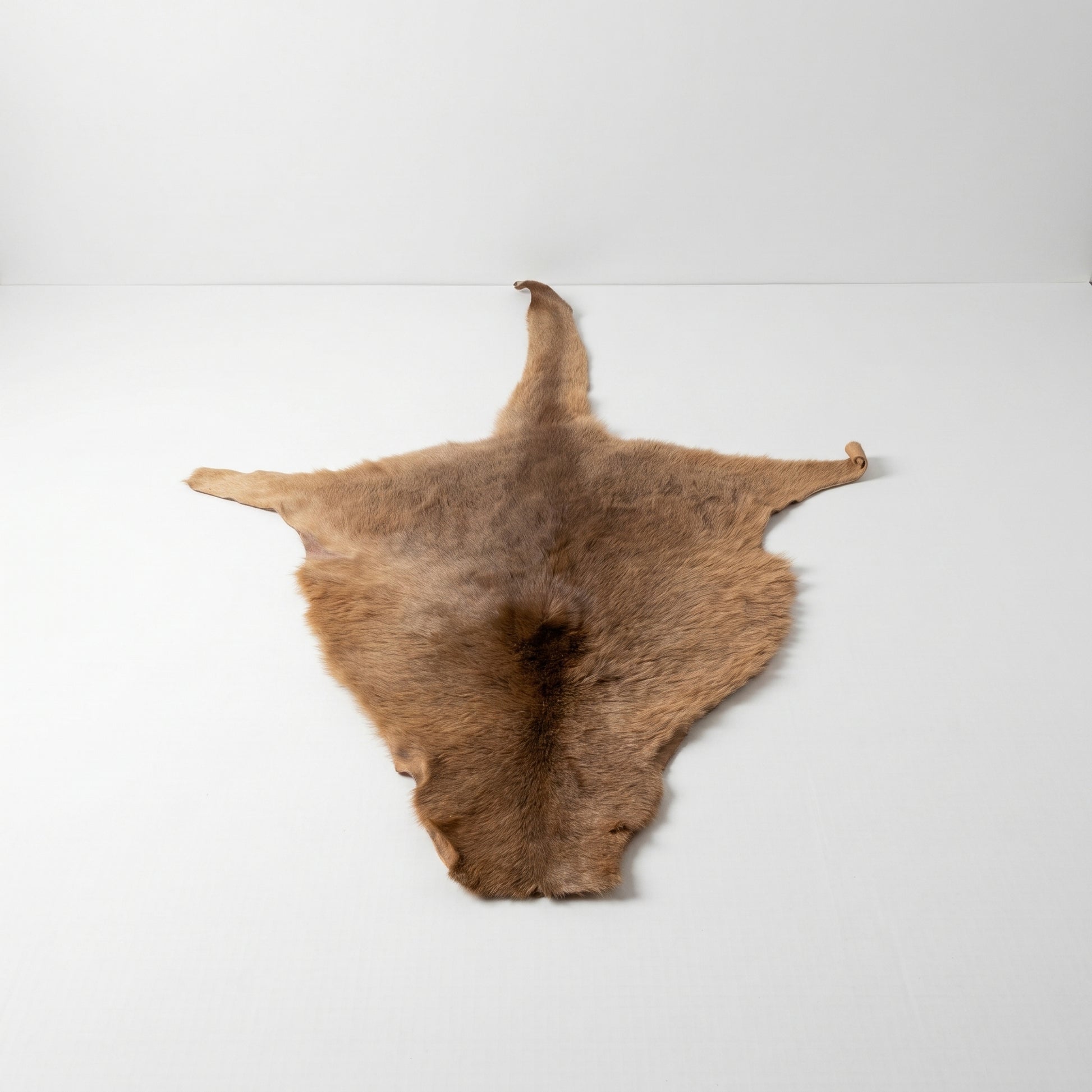 Kangaroo Hide Rug