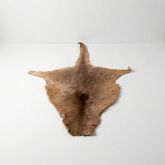 Kangaroo Hide Rug