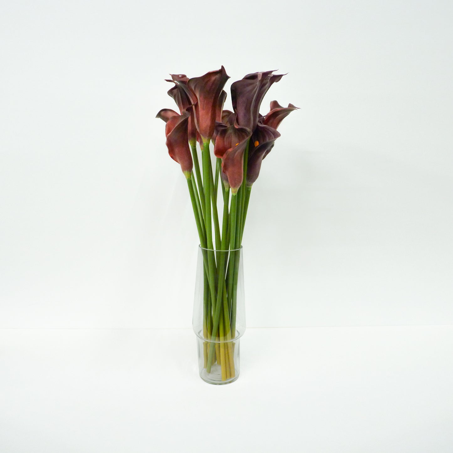 Purple Calla Lily