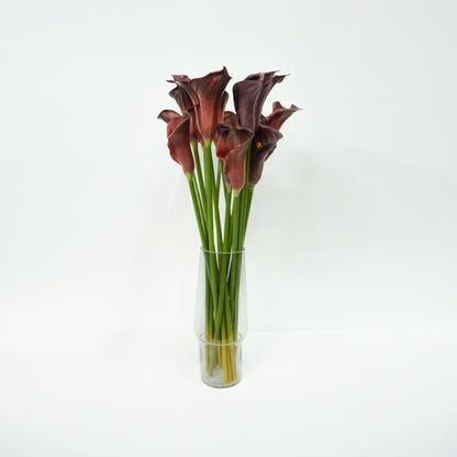 Purple Calla Lily