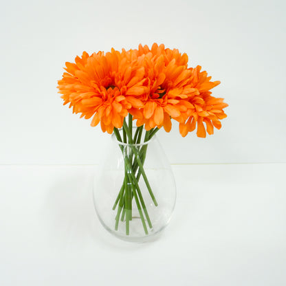 Orange Daisy