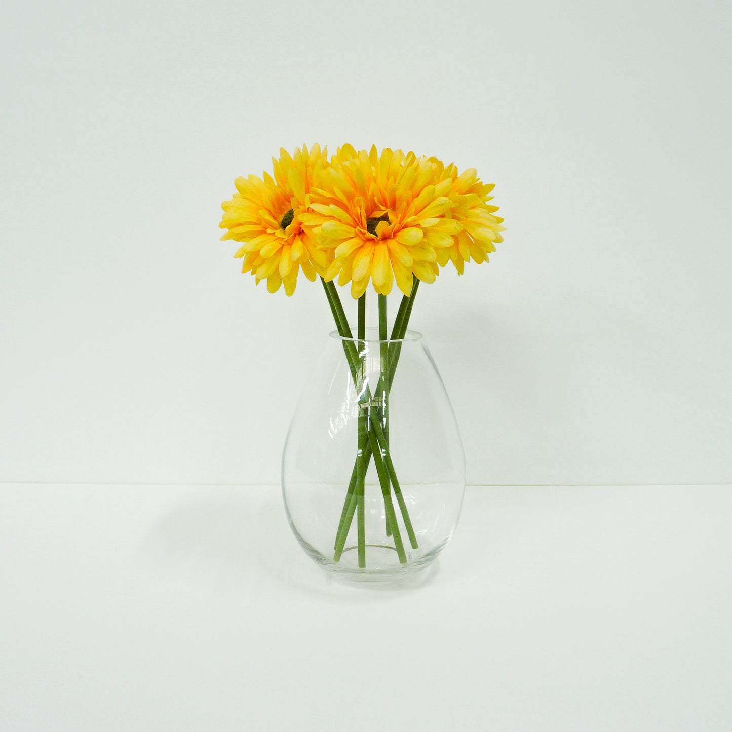 Yellow Daisy