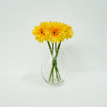 Yellow Daisy