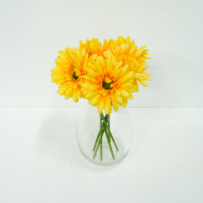 Yellow Daisy