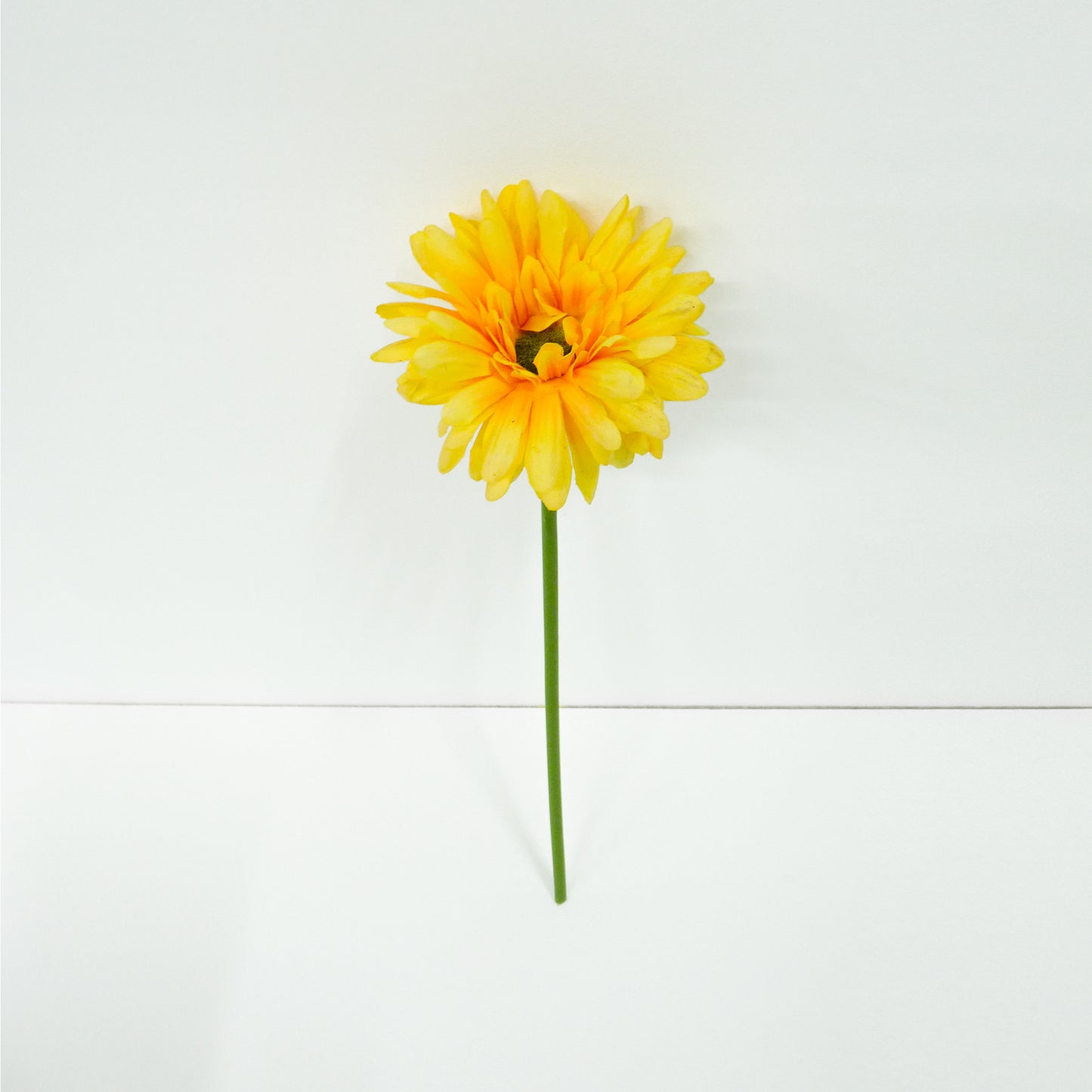 Yellow Daisy
