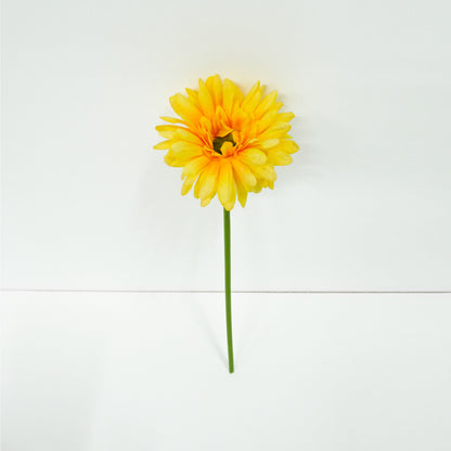 Yellow Daisy