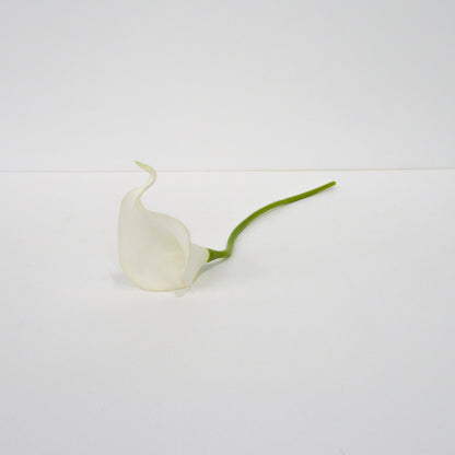 White Lily