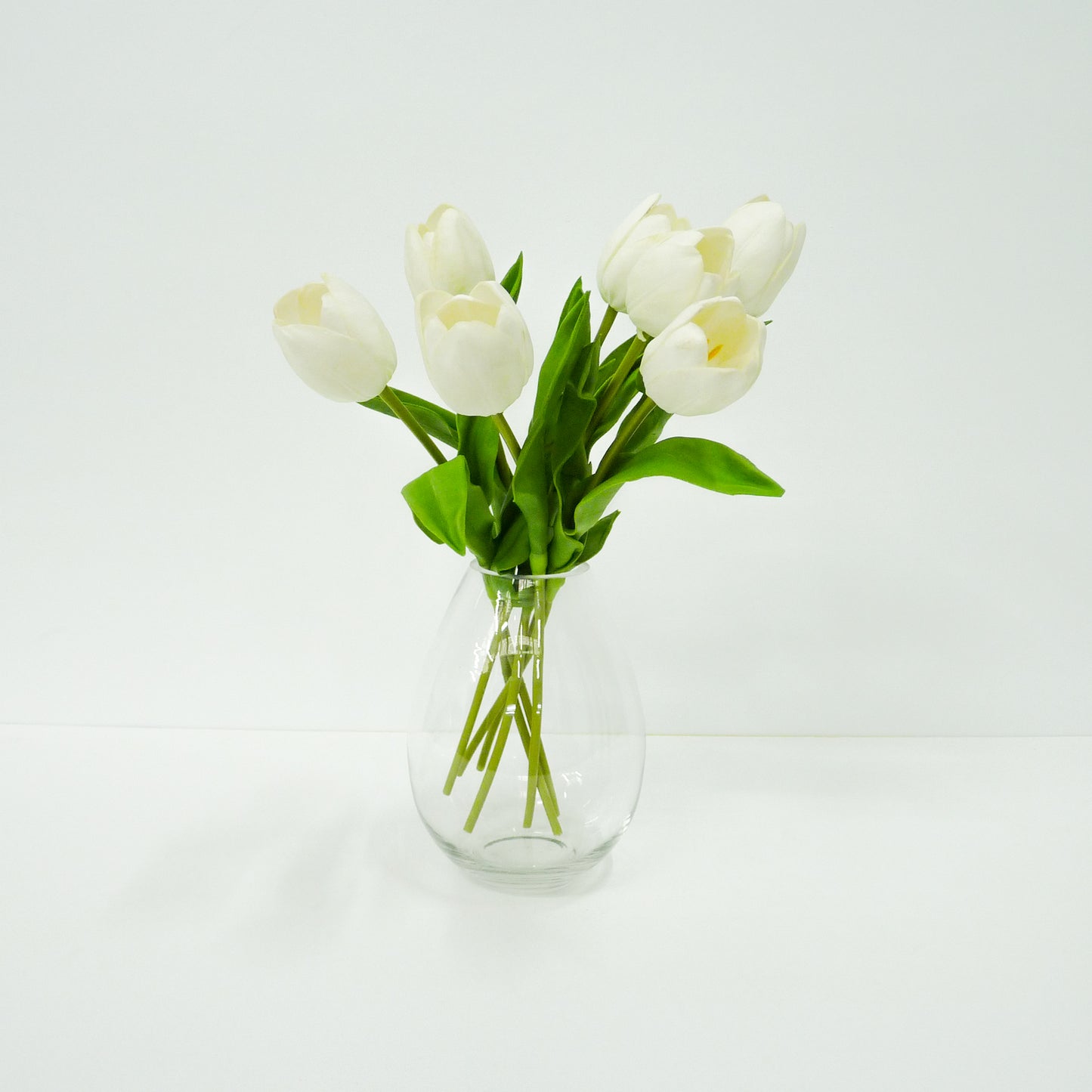 White Tulip