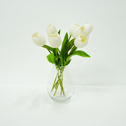 White Tulip