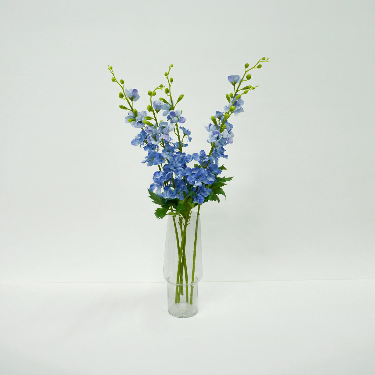 Blue Delphinium